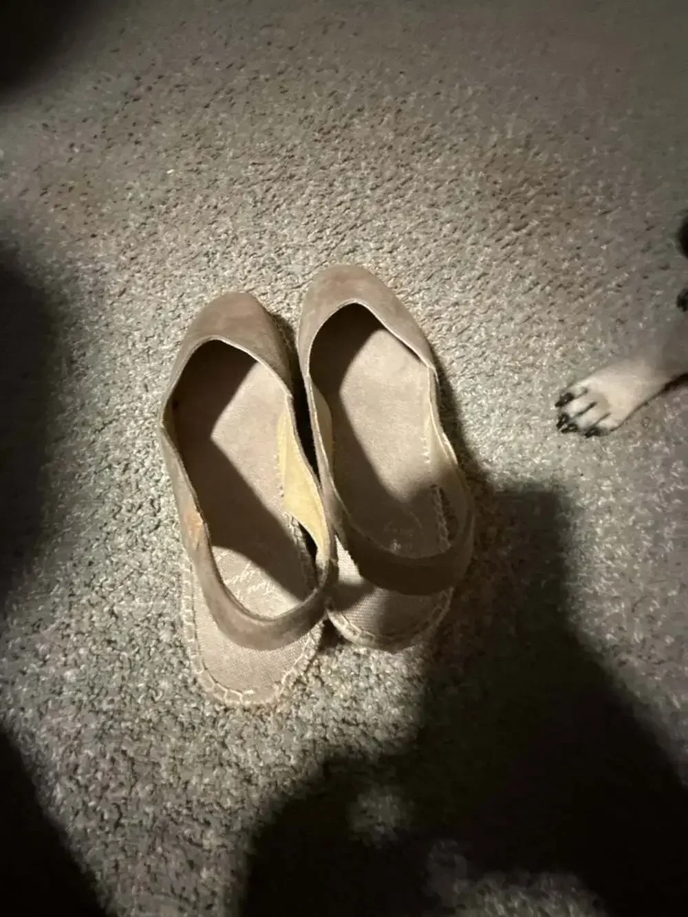 Toni Pons Suede Slingback Wedge Espadrilles